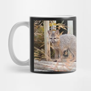 Fox Kit Mug